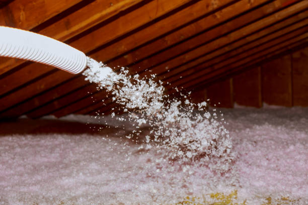 Best Insulation Materials and Products in Maple Grove, MN