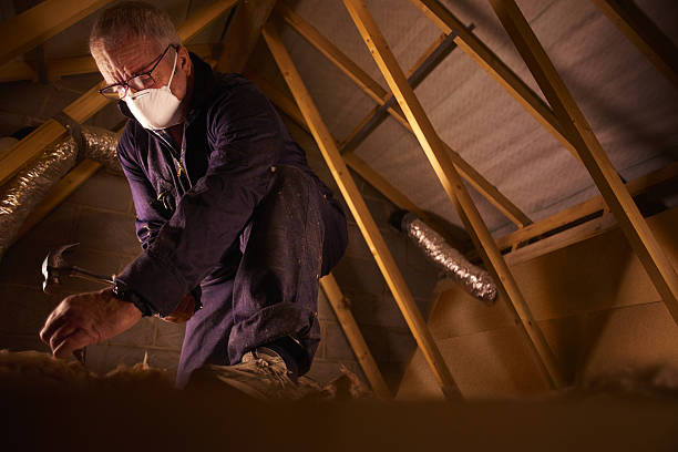 Best Insulation for Specific Applications in Maple Grove, MN